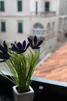 Nerio Appartamento *
